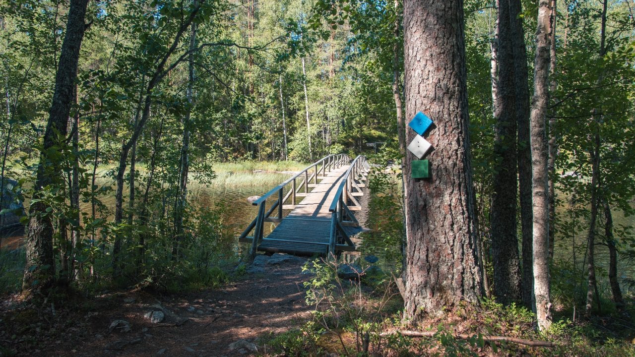 Isojärven kansallispuisto