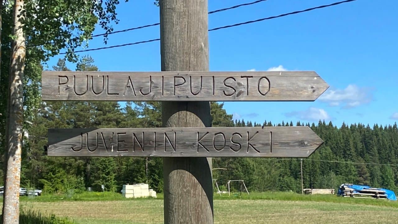 Juveninkosken läheisyydessä puulajipuisto