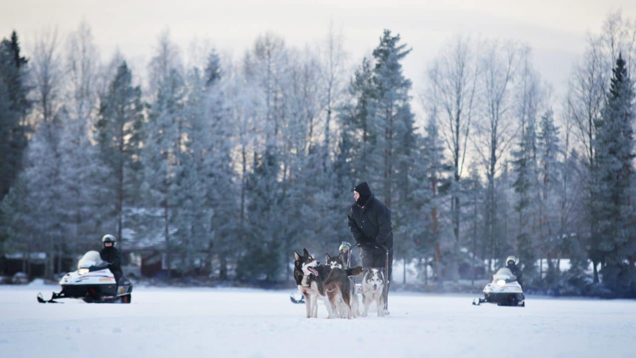 huskyt ja moottorikelkat Kievari Rantapirtillä