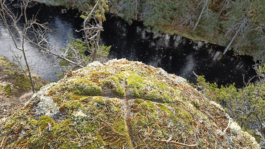 Rotkovuori