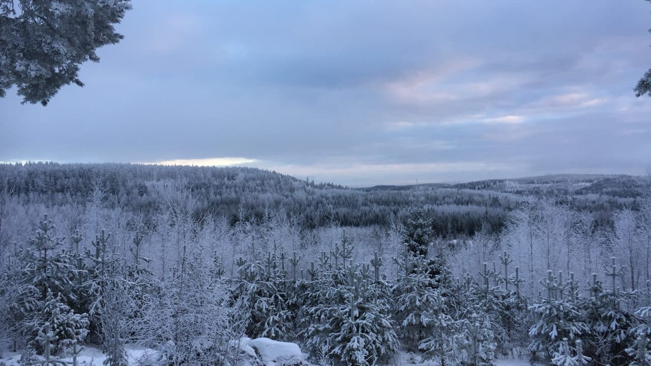 Taina Rekunen mökki Himos